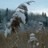 Dscf1242