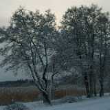 Dscf1245