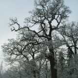 Dscf1249