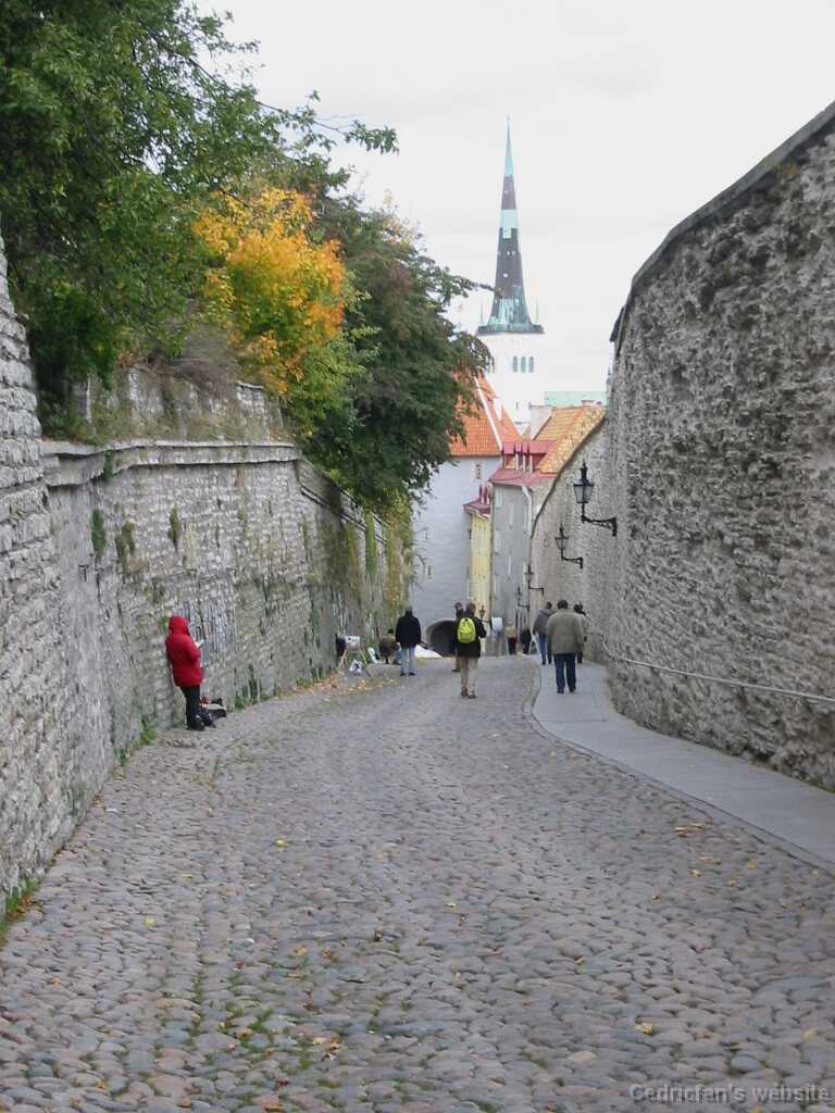 Img_0905