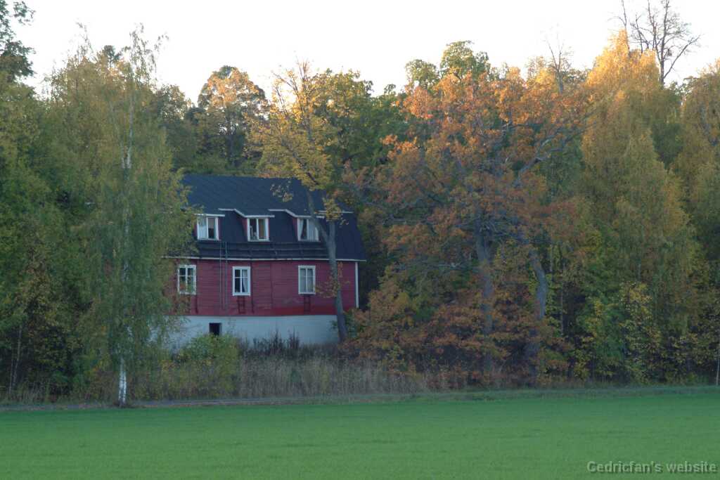 DSCF0642