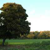 DSCF0637