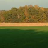 DSCF0646