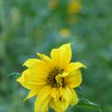 Dscf0627