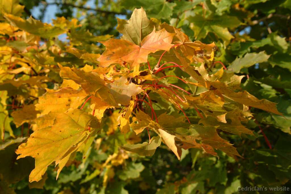 DSCF0324