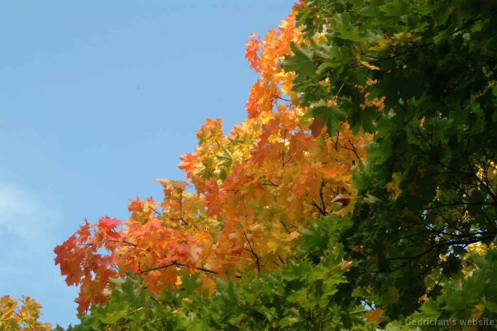 DSCF0327