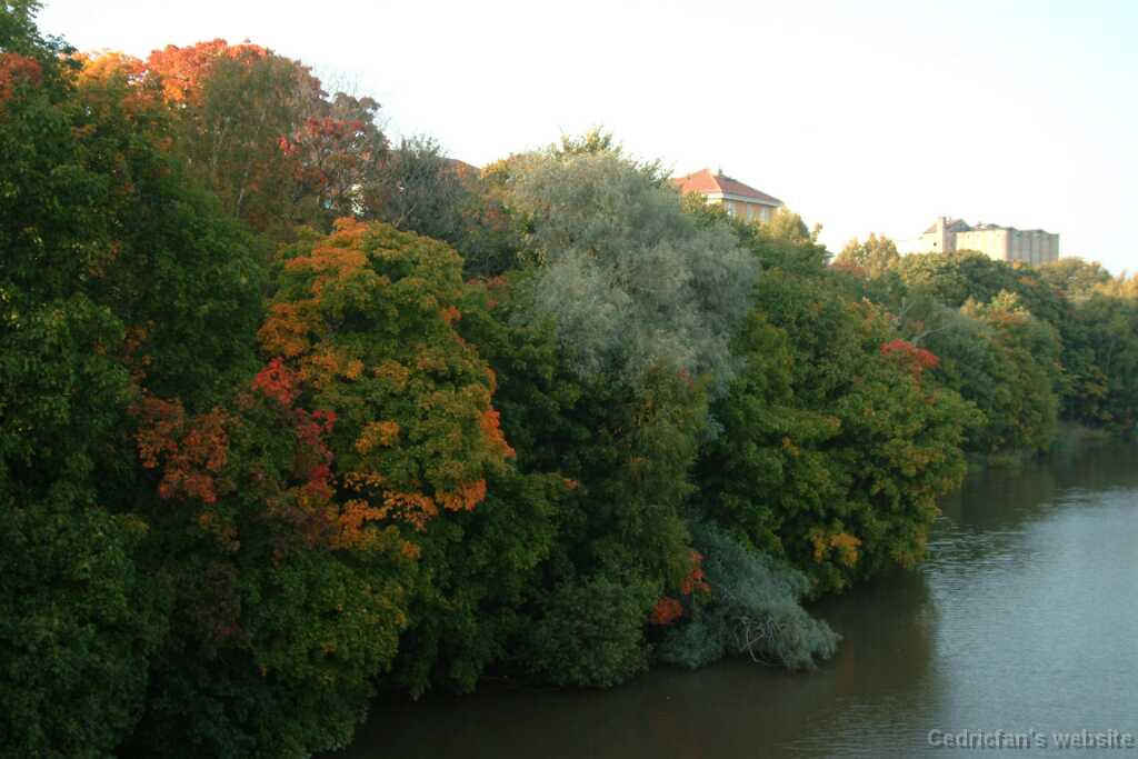 DSCF0362