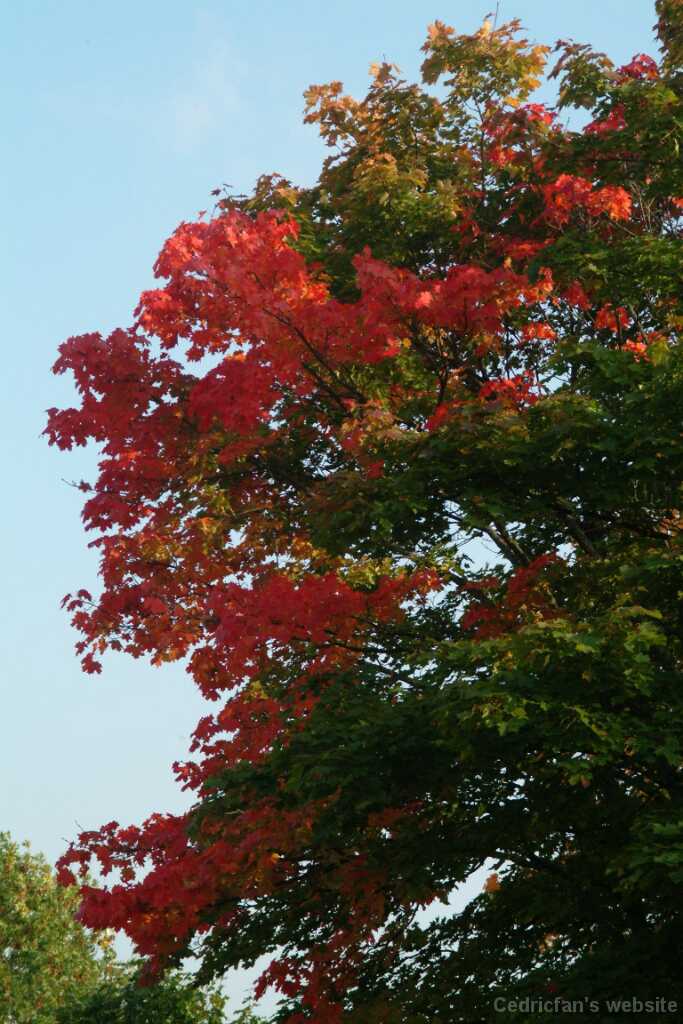 Dscf0308