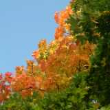 DSCF0327
