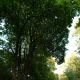 Dscf0347