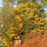Dscf0364