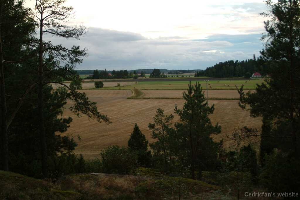 DSCF0286