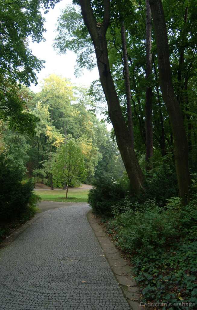 Dscf0470