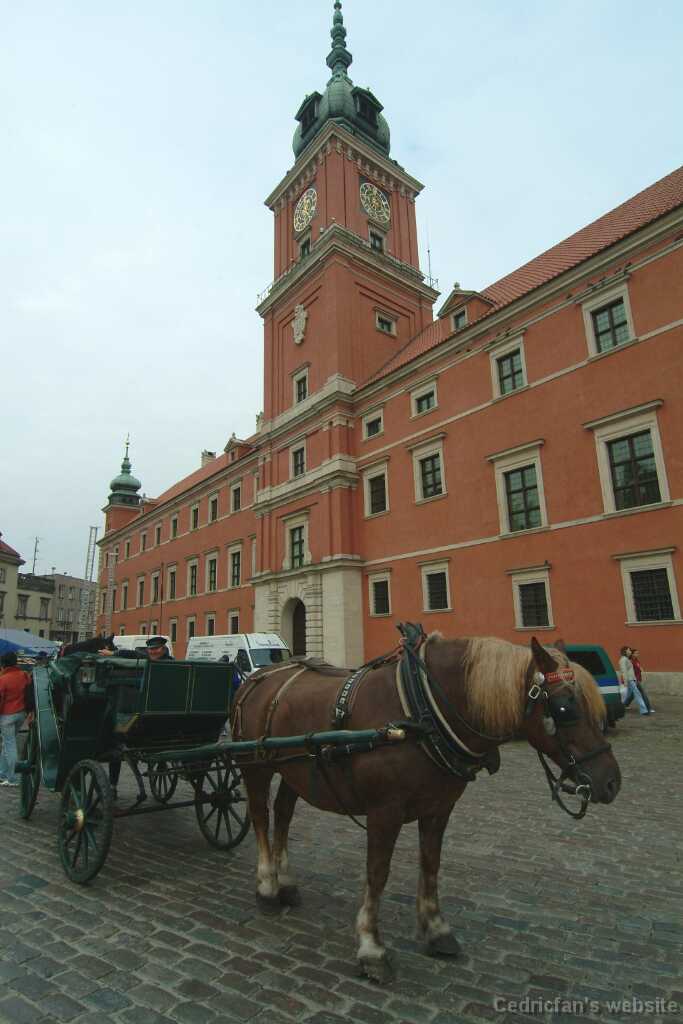 Dscf0503
