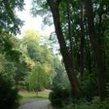 Dscf0470