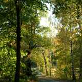 Turku Nature Park
