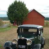 Veteran Car Cruising