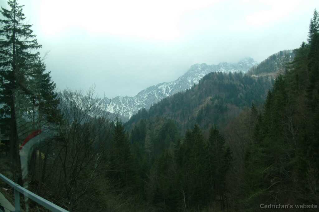 DSCF7888