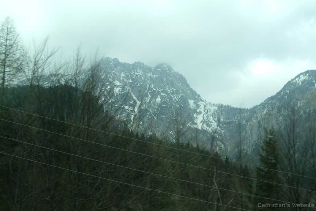 DSCF7894