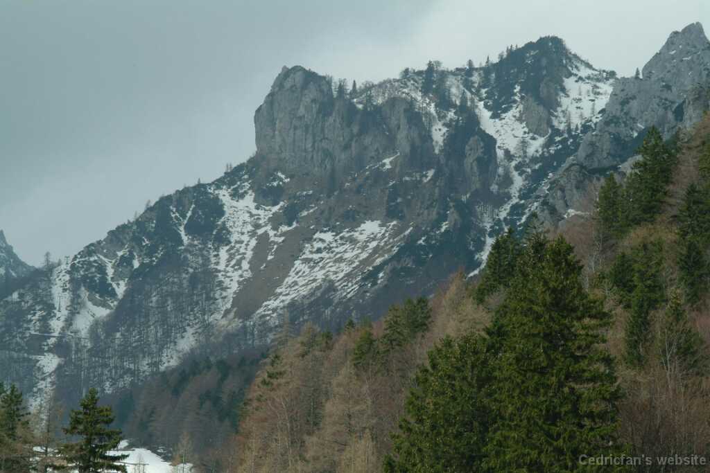 DSCF7898