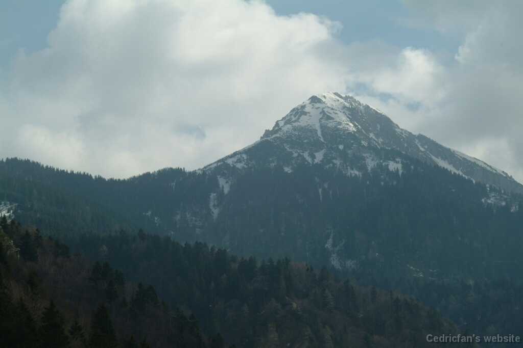 DSCF7903