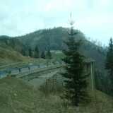 DSCF7890