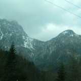 DSCF7893