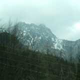 DSCF7894