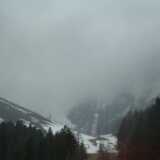 DSCF7968