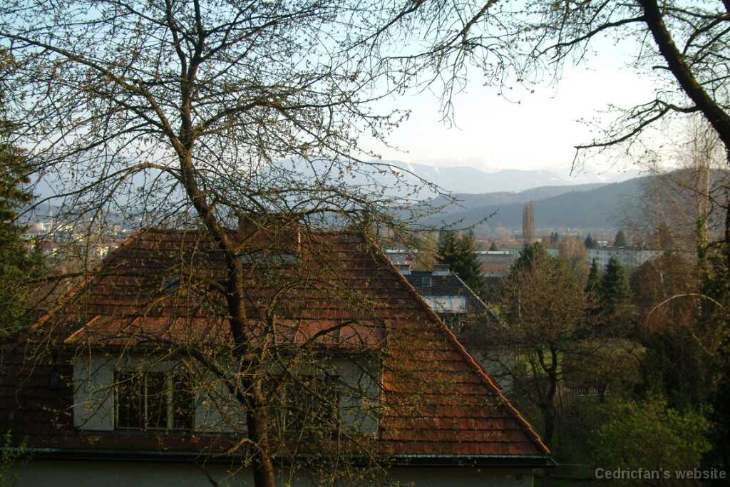 DSCF7881