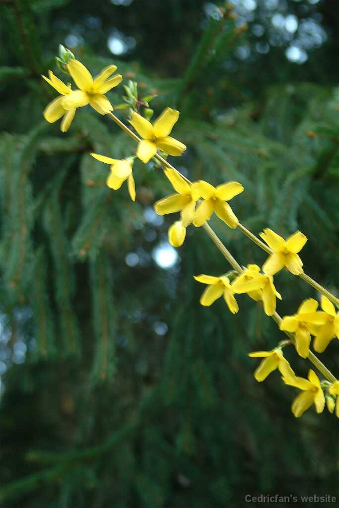 Dscf7771
