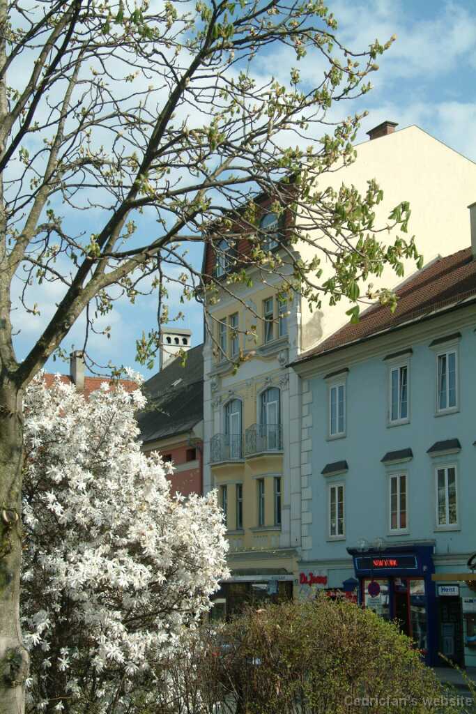 Dscf7874