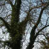 Dscf7766