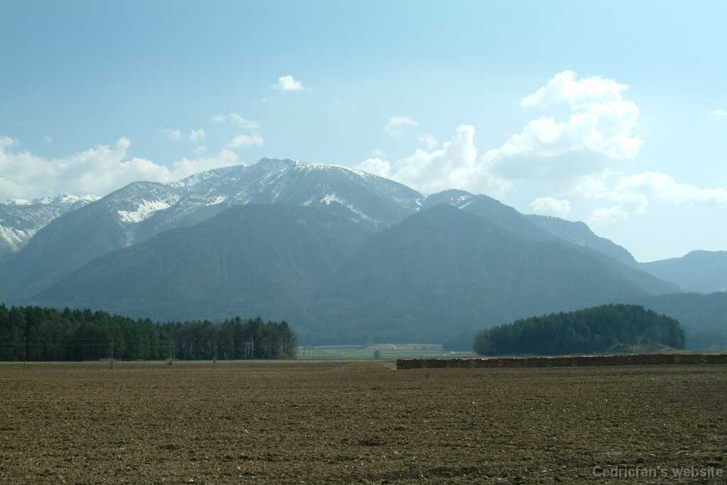 DSCF7867