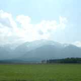 DSCF7856