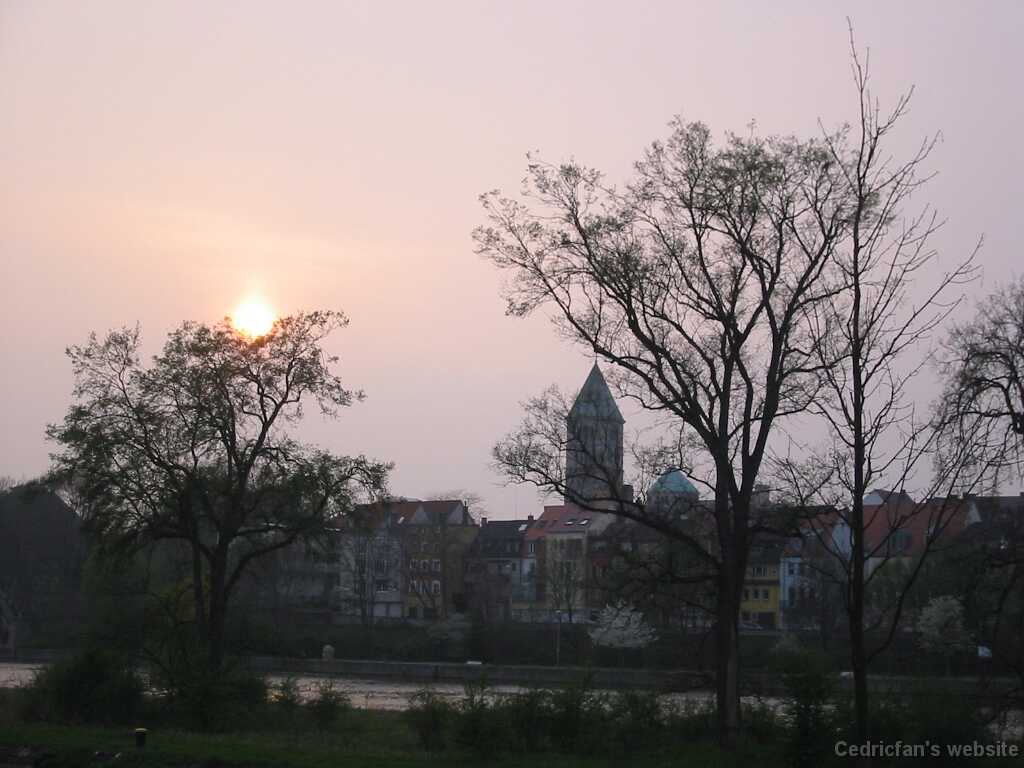 IMG_1751