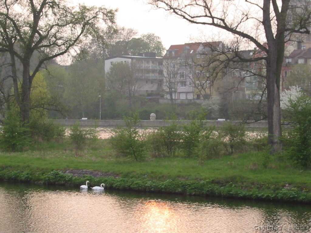 IMG_1755