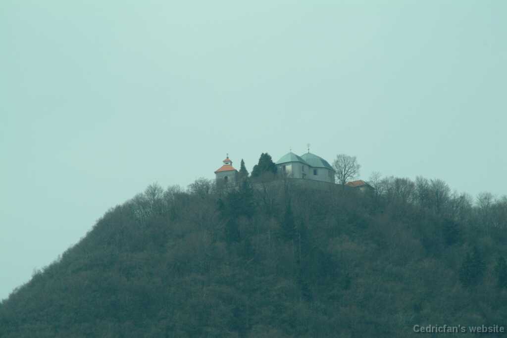 DSCF7911