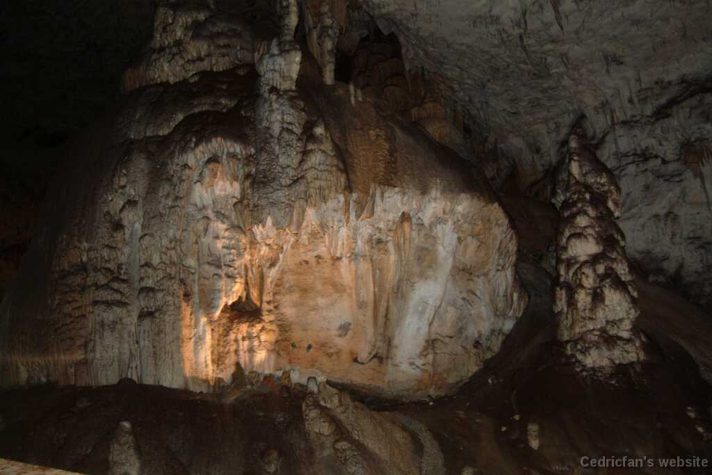 DSCF7943