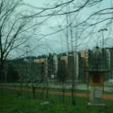 DSCF7905