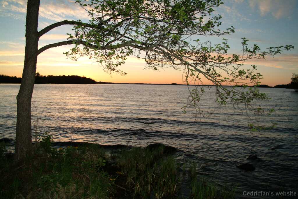 DSCF8463