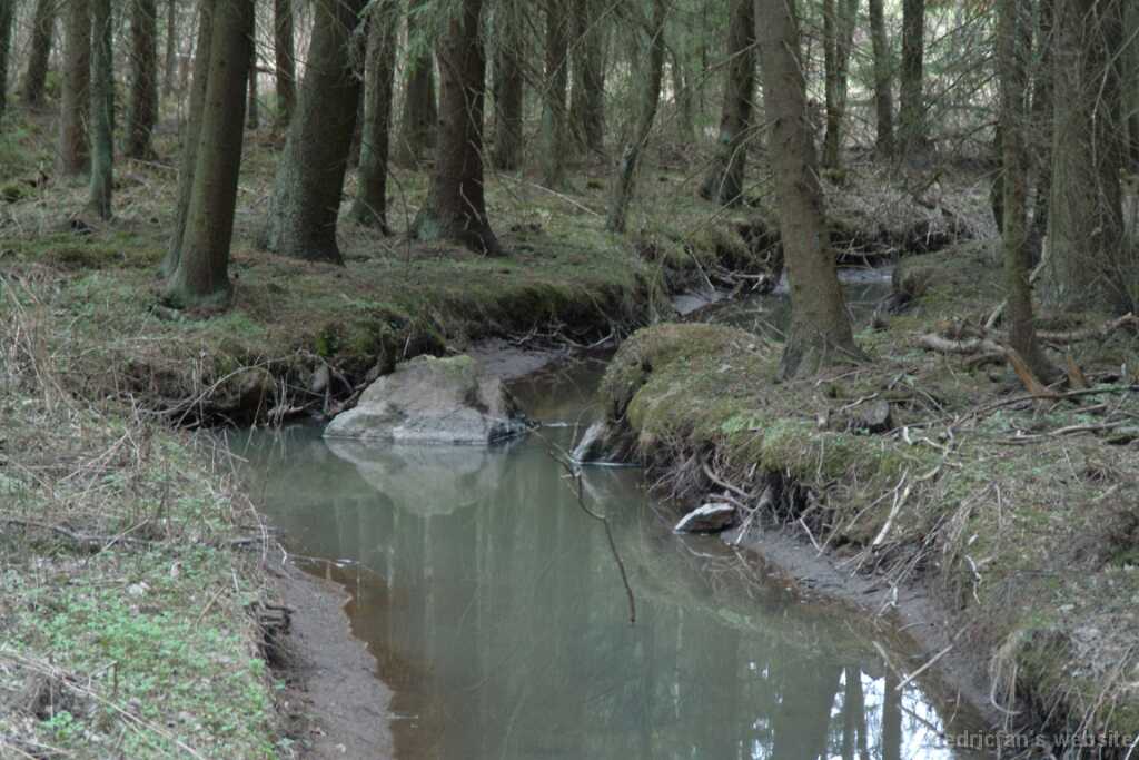 DSCF8130