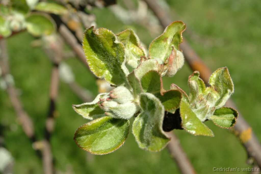 DSCF8282