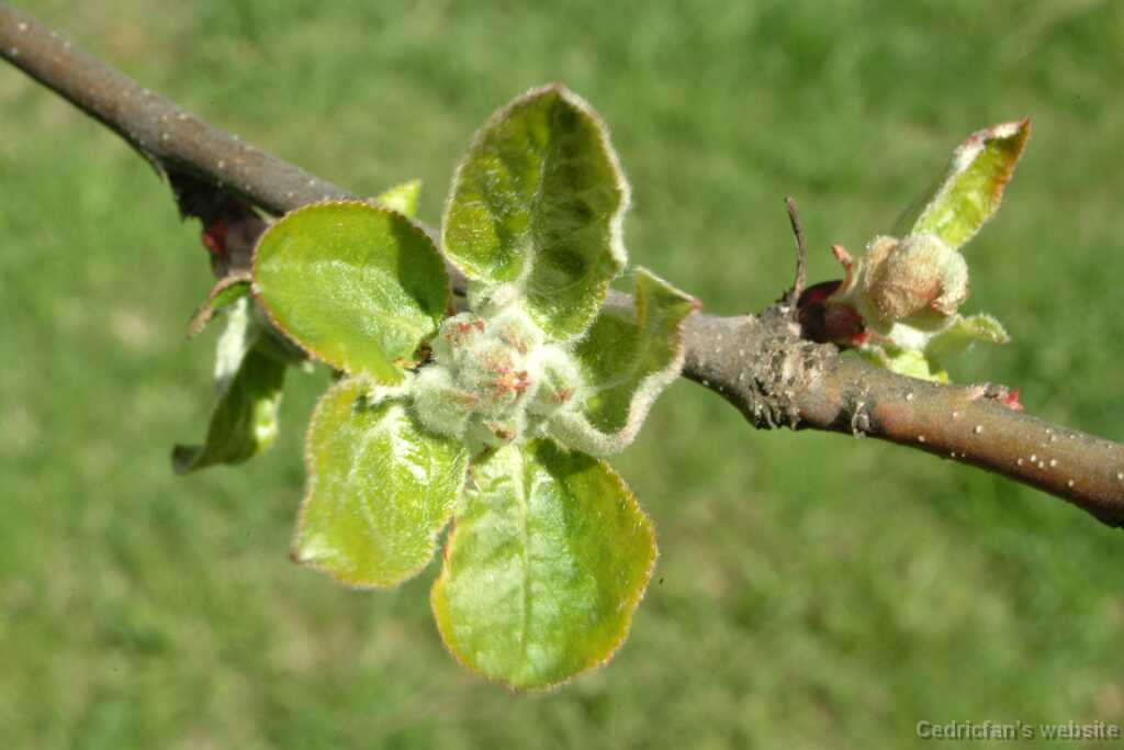 DSCF8285