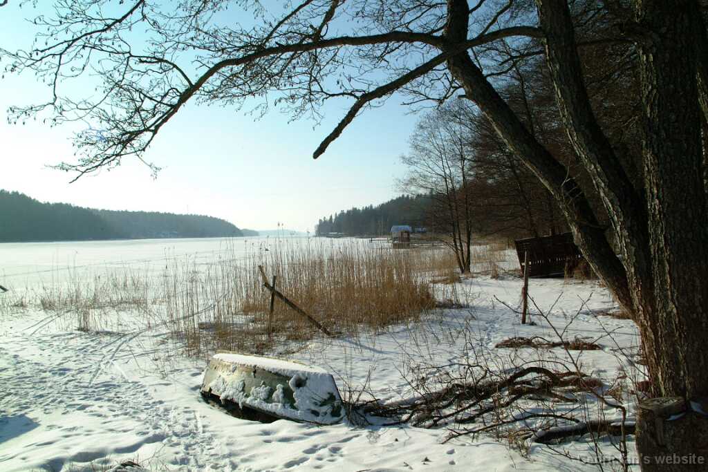 Dscf0229