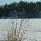 Dscf0232
