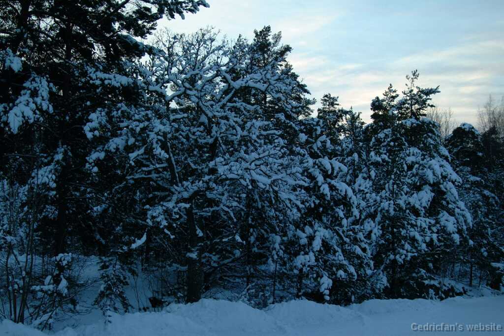 Dscf0063