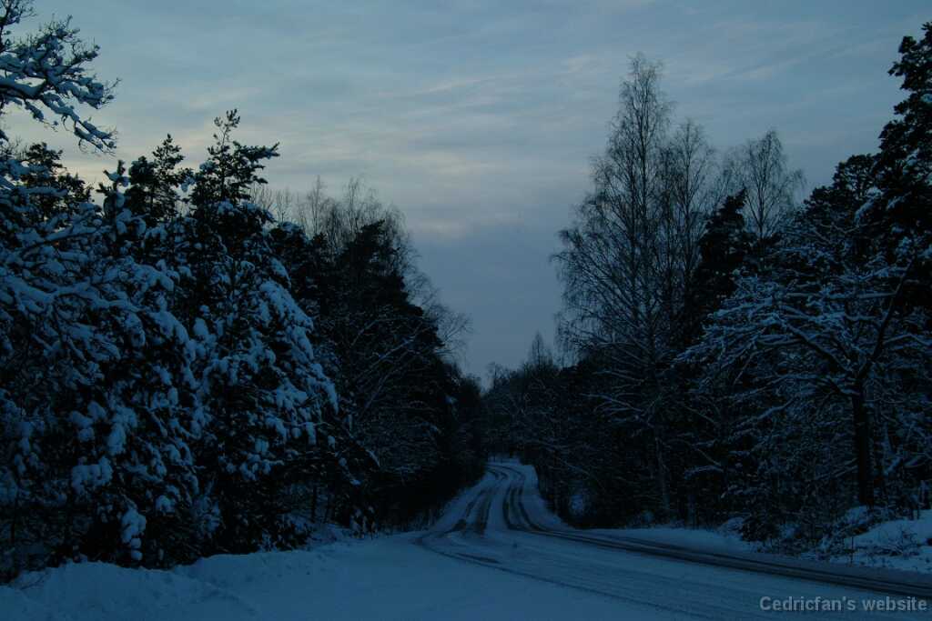 Dscf0071