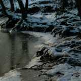 DSCF0028