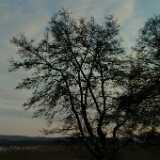 Dscf0022